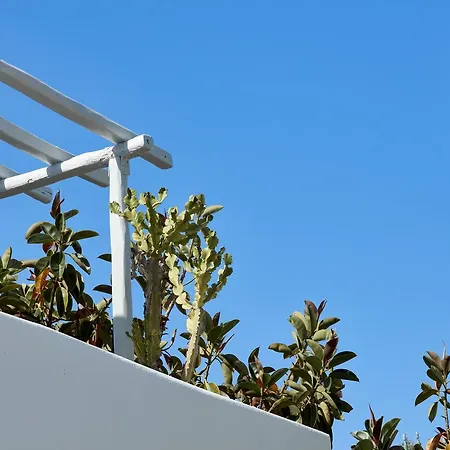 Mykonos Town Suites Апарт-отель 4*